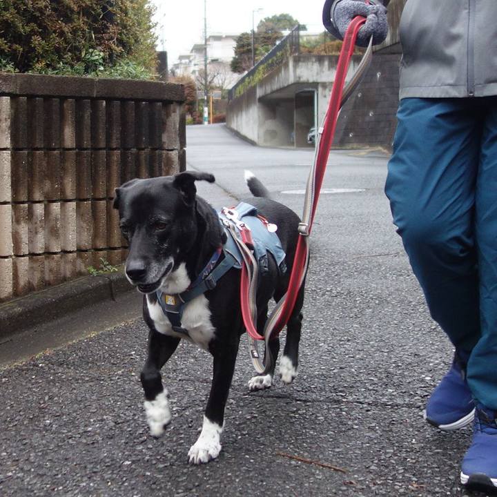 1702cd59 ad8c 4211 9ac9 94ecb3f2bf78 1709253058019