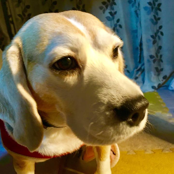 1702d6d4 22ef 48f6 b17e ca4658f02e51 1552209350340