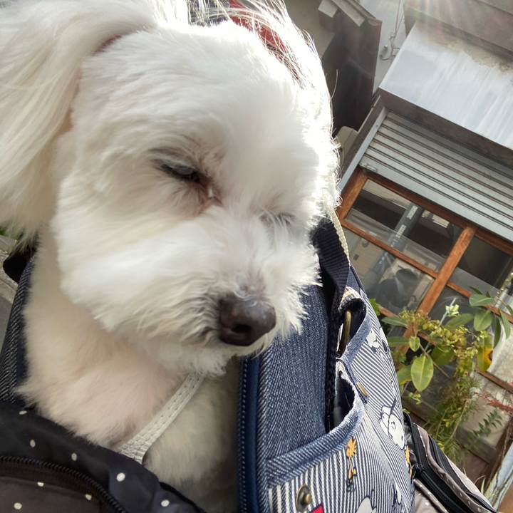 1702fda1 84b0 447e 9896 4ac9e69e1af7 1643549448241