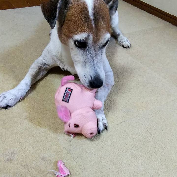 17030452 0253 46d3 90be 1c4accad3534 1534146752717