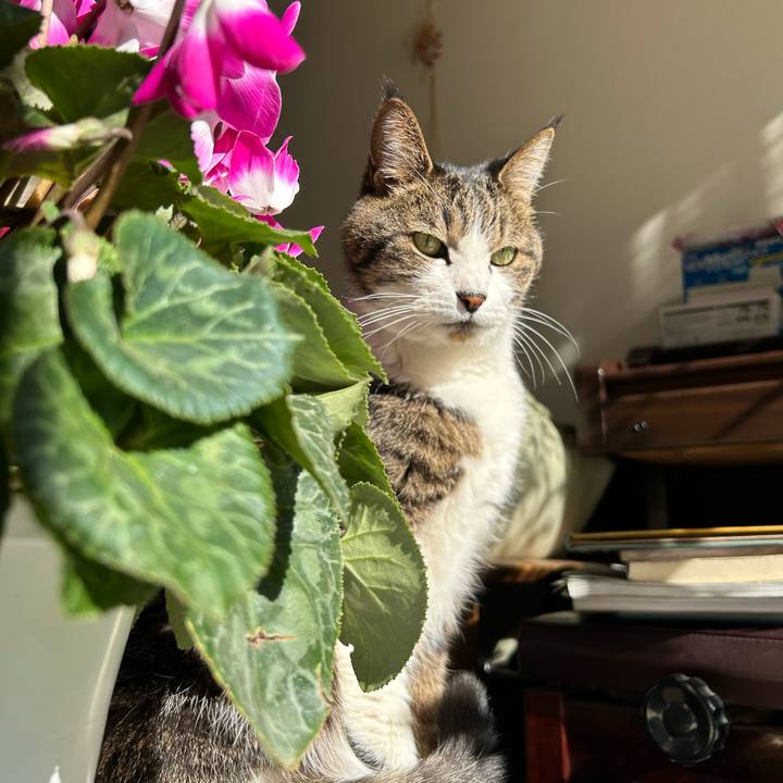 17030865 ecf0 4a47 b458 d58426a12a44 1735437978638