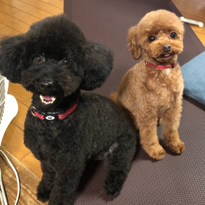 17033581 172f 4ca5 8563 cd791a5dfbd1 1577492523098