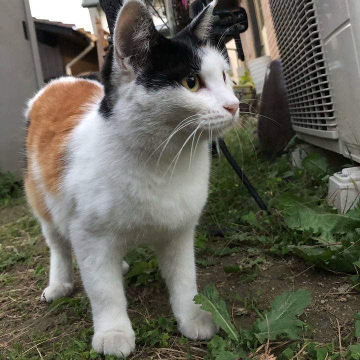 17035d7a 86b6 48c5 ad35 7a1a87ded431 1601390941469