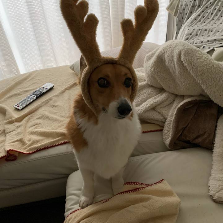 17035db6 3406 4c29 86b5 4b747ca59335 1577181725757