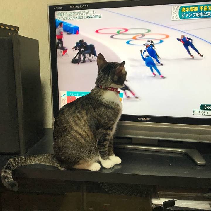 1703bef1 704c 4dc1 aceb 26e11c9b8bec 1519476853407