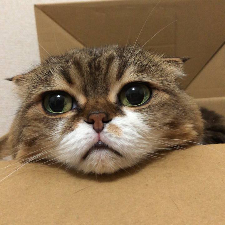 1703de55 0a9d 4349 b6de 24776f382747 1536112652484