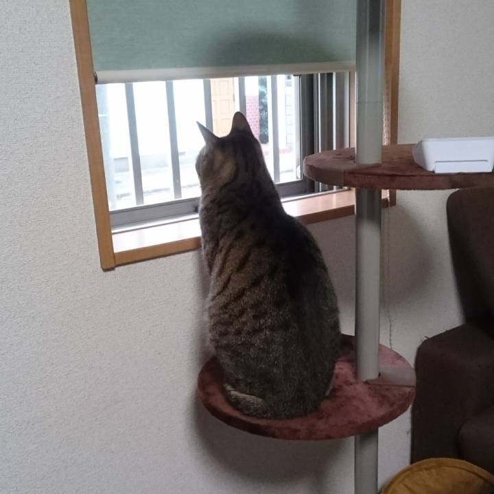 17040ba9 d92d 43ad bd18 de8f03d8b5a4 1510969759764