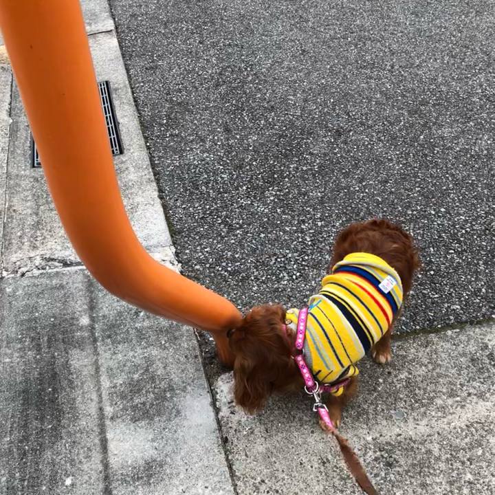 1704231d 25fa 42d5 8790 b9d3ff44786c 1644712110767