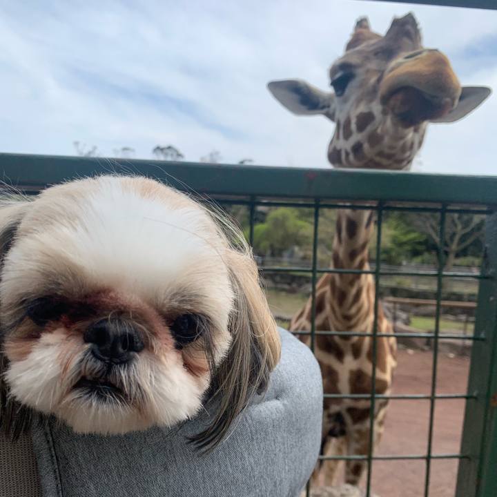 170450ba 5564 4fd3 87a5 62066d208494 1680782268670