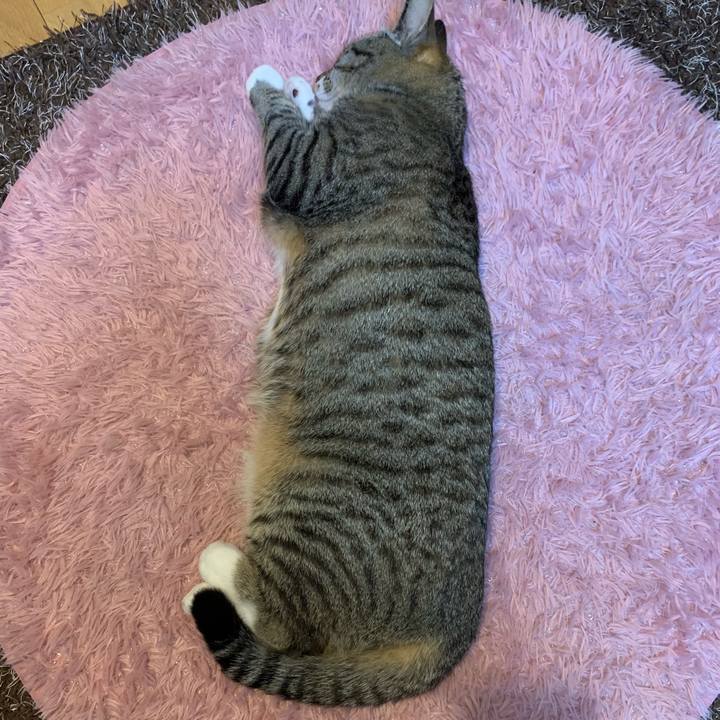 170473a8 c931 4154 8c15 03088f1f0fed 1551532856492