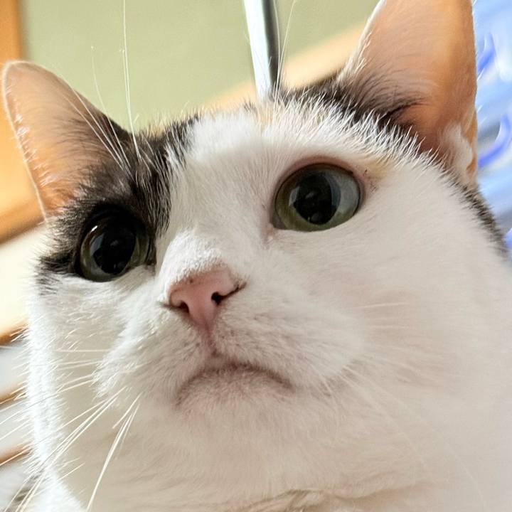 1704952a c64a 4afc 8acf ef3f5c6bc80e 1775527844196