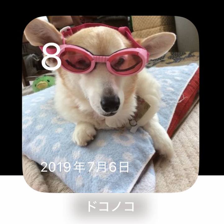 1704a3f6 6bf9 4989 ad51 f2a78348f8a1 1751952693229