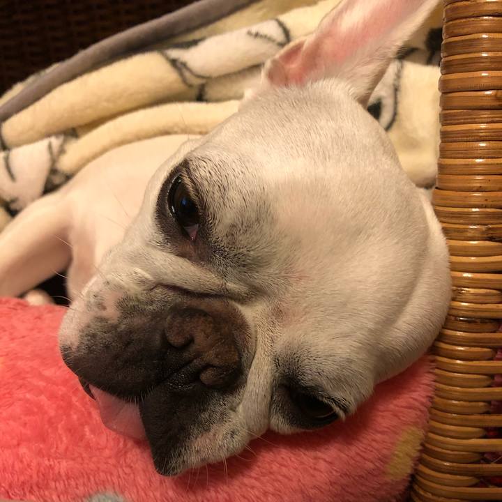 1704ae4a 5890 4304 bdb3 10da2143cd80 1574593975812