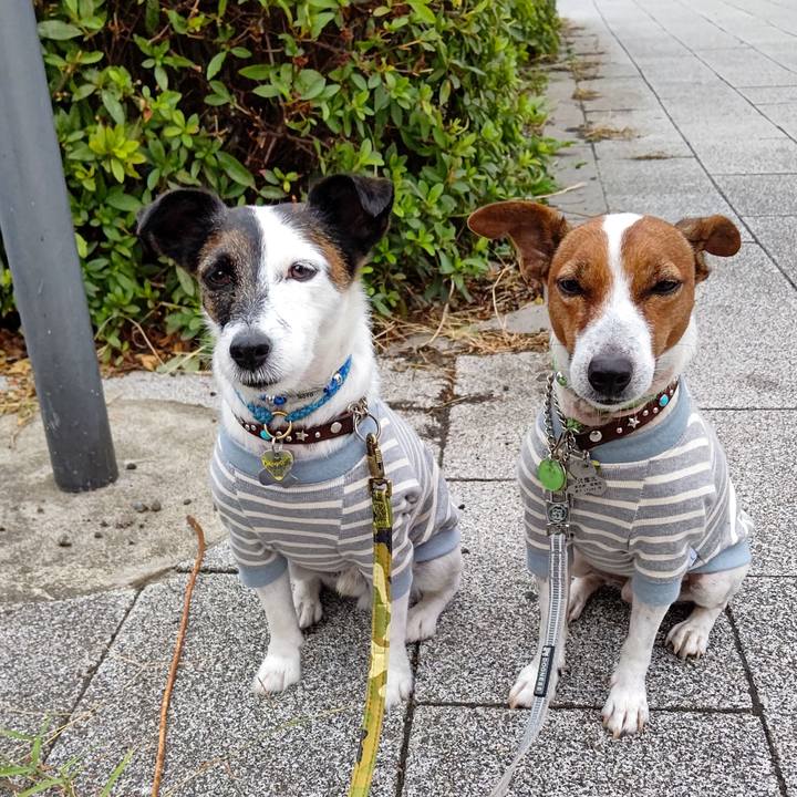 1704d1ff cf65 47a2 a584 0f0a94822298 1665094890396