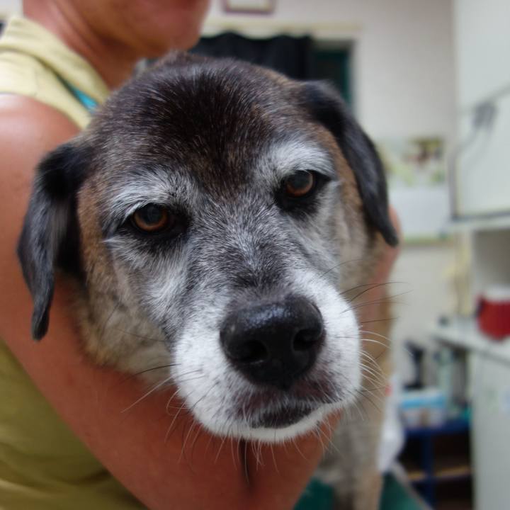 1704f1eb a1fa 46f0 91d1 0d14756352b3 1536408447359