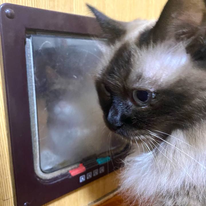 1704f1f0 9f65 45d0 bc19 4c03fc89a2cb 1756133282144