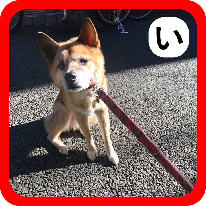 1704f4ff 3ff3 405e 9aa5 e27848fd5d63 1514896306170