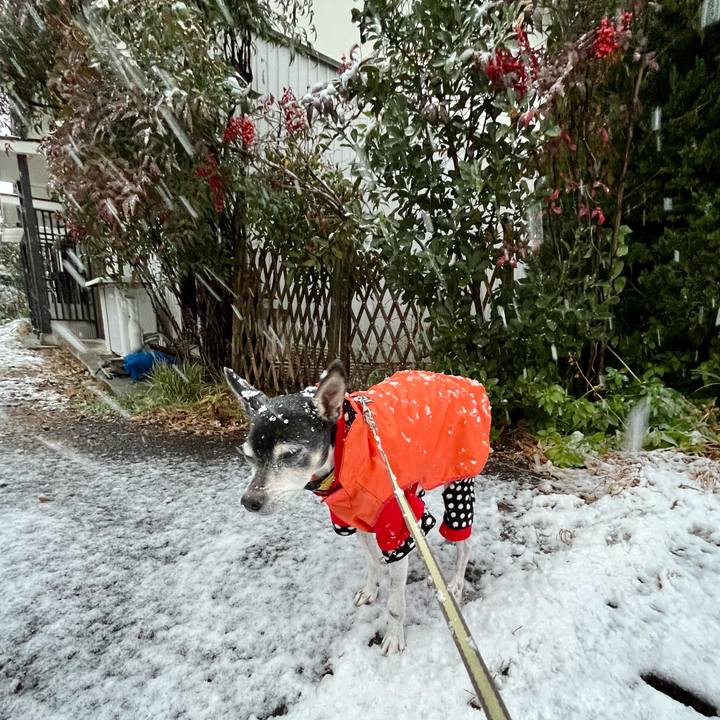 17052ea8 bc53 47a8 97e8 f49dcf2bef2e 1640909470773