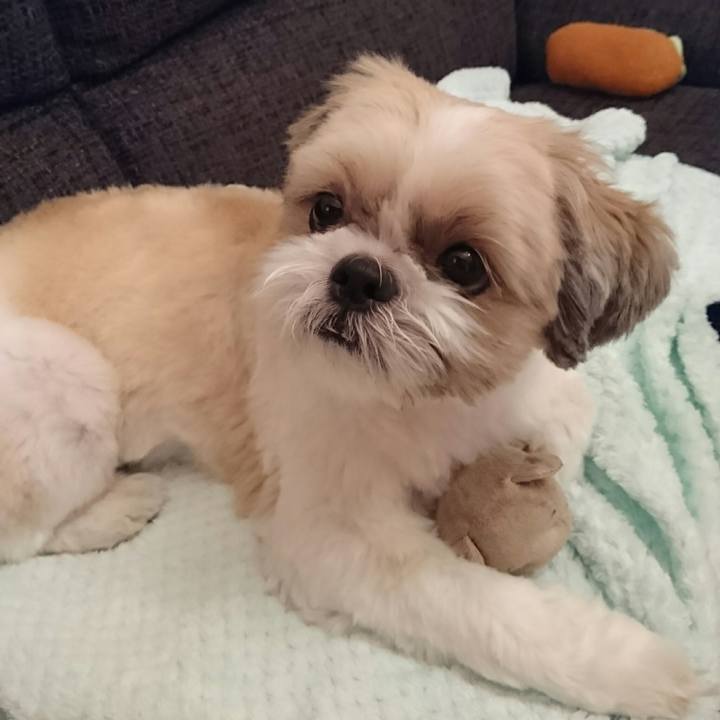 17053a03 065a 4754 ad64 599d9079beda 1532688844891