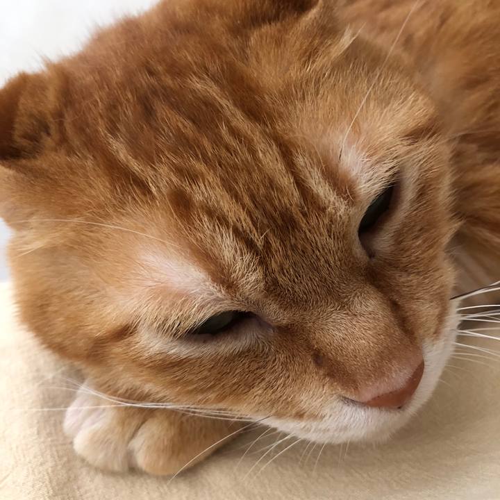 1705ba88 cf6d 4f9b 894a 0e1ab2f708c6 1720834262957