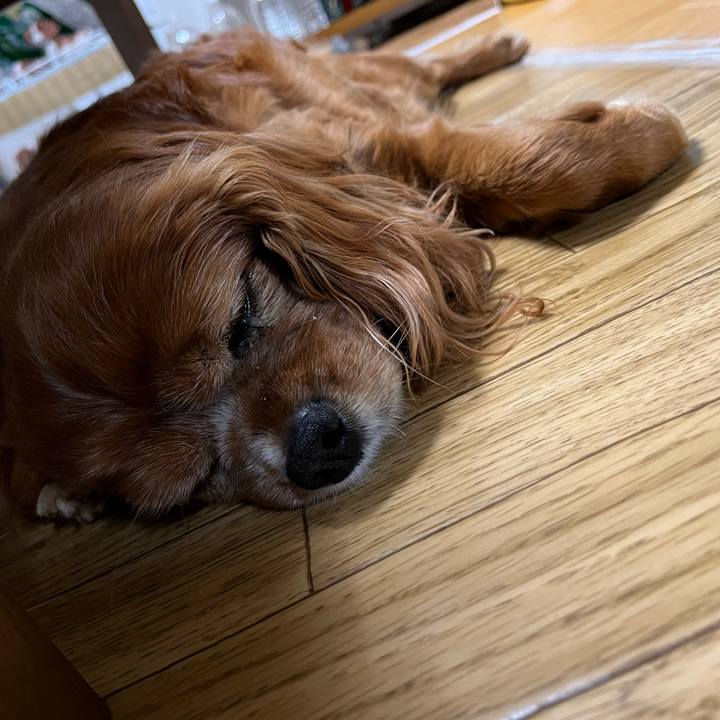 1705c0f4 e94a 448e 9c2c 00fd6562f867 1716847799835