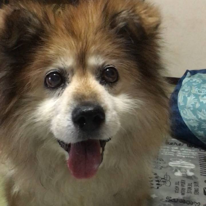 1705ef66 38bd 49b8 9146 8b30b1c96b3b 1563404844990