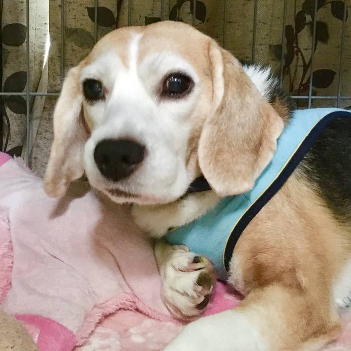 1705f0ab 08f8 4786 a1e3 25a02e14f3fc 1760431944416