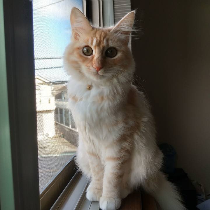 170608ca 4215 48c5 9a75 f56f2f2bef6c 1615274004764