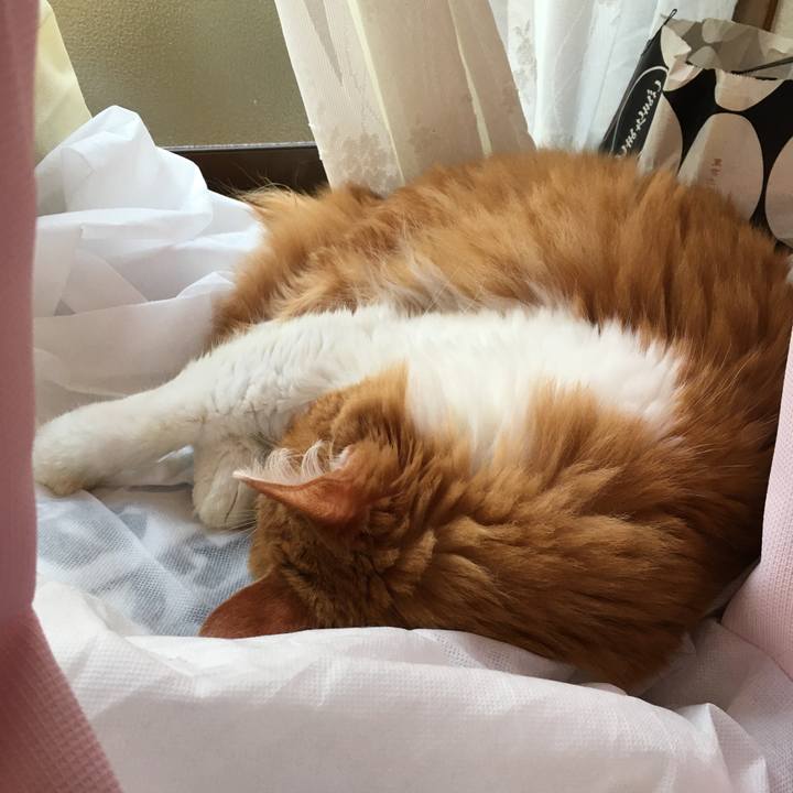 170619b0 a2a0 4207 8869 372848e8909e 1572419324373