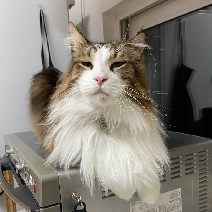 17064133 a4ef 41c9 8589 4a1776ad974e 1677008504432