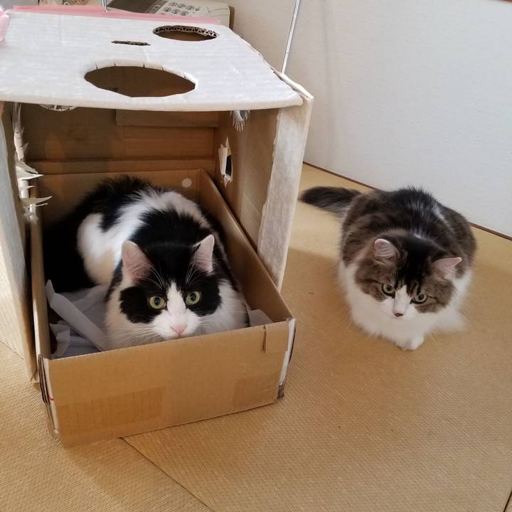 17064b5e 1225 4060 b40f 55b1e29eb093 1535283163377