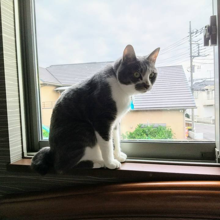 17064d3b 676d 4367 9f33 e72d554078b2 1627694920574