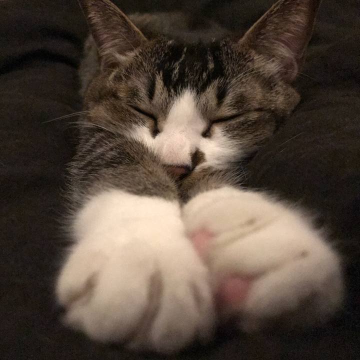 17064f2c 8016 4354 9738 9c7851e516e3 1592230119003