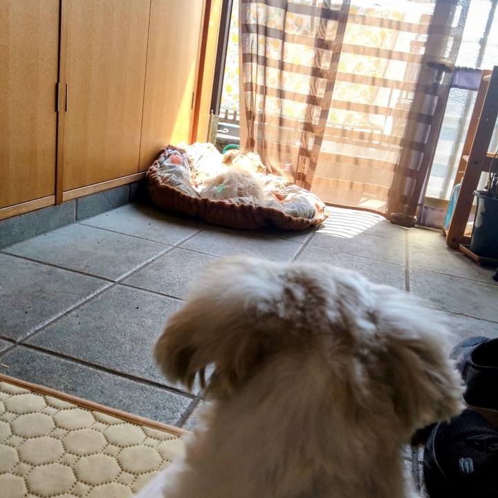 170699e4 00db 4d65 ad54 ec9696e14988 1749277930232