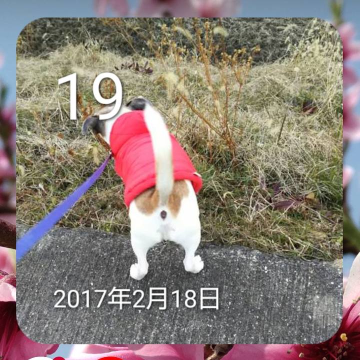 1706bbdd a089 4706 883e 23737dc56239 1708348453930