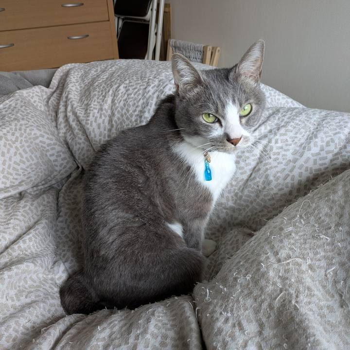 1706f655 edc8 4e27 8081 cc7c95a1f206 1738554127813