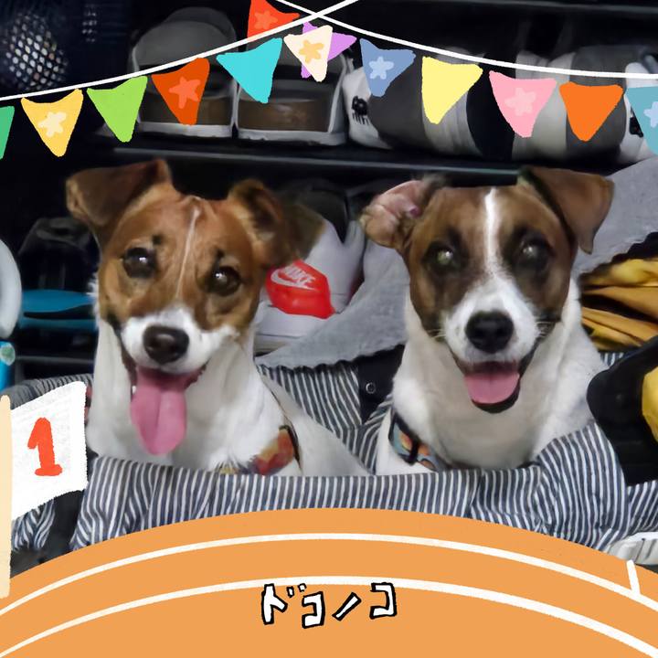 1707278d 9b65 4bd5 b9e0 643704d83ad2 1761106340521