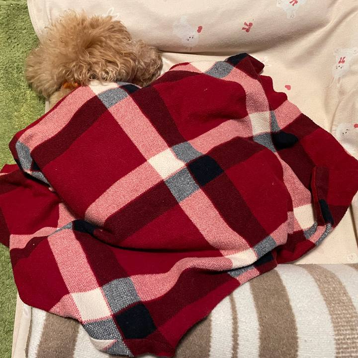 17074b7c a132 4083 bc33 24ce76764ae7 1760650102212