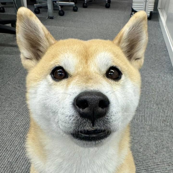 17075e0a 3b28 4322 aeb4 1f14ab0bcbe1 1770944833441