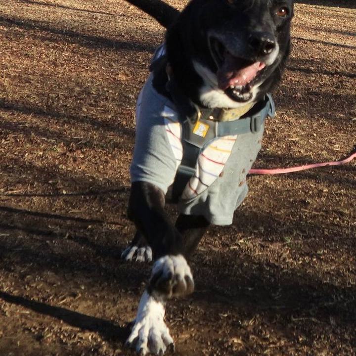 1707b3b0 4382 4cc6 9bc8 4e8479c66e6c 1705539562686