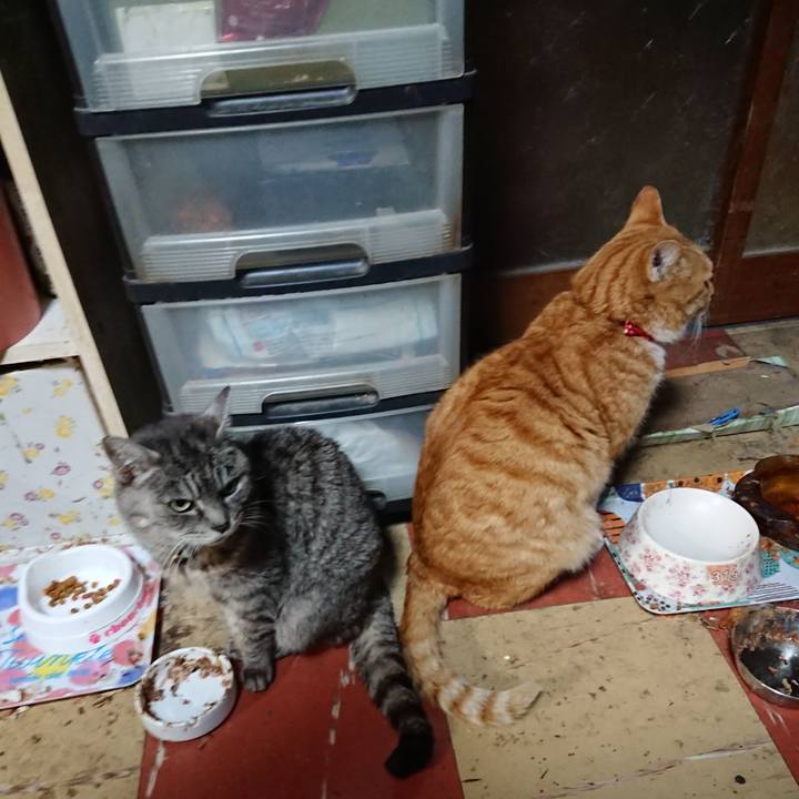 1707c4d1 68a6 42a4 ab05 8766dfbf58c0 1577264155157