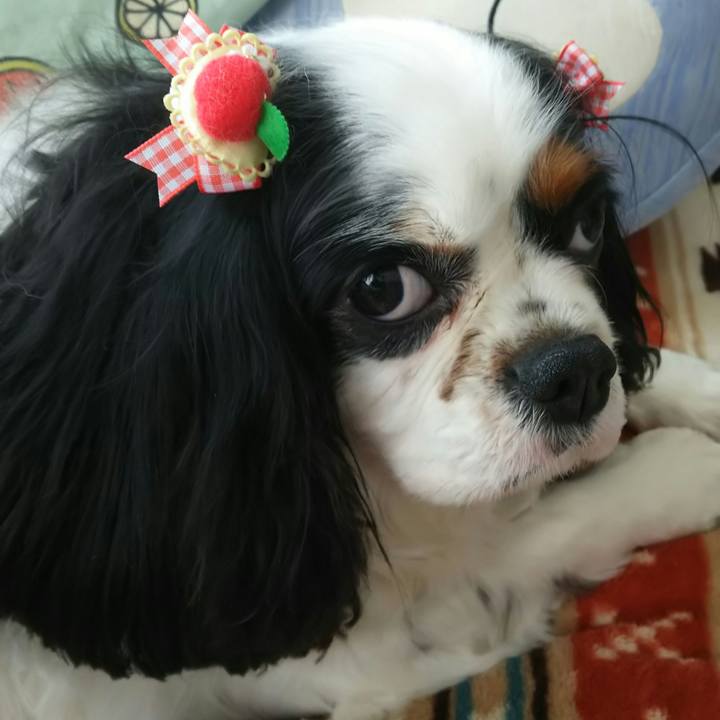 1707c9d2 535d 4ec9 920d 34f97397d183 1528005629662