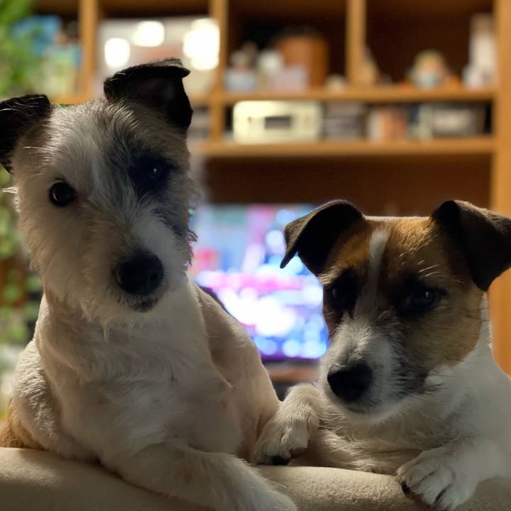 17084b59 c19a 485f ada8 f75fba9099bc 1685883664632