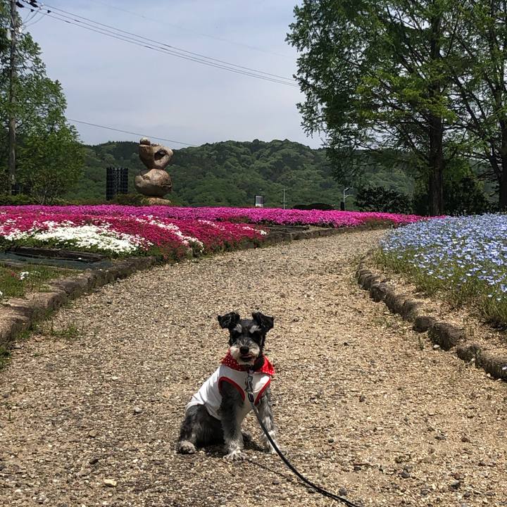 1708c195 fa20 4430 b666 b4ea364cb55f 1713586939025