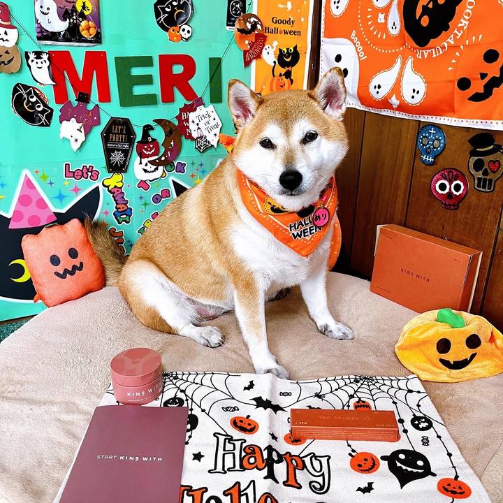 1708e86c cacc 41f2 b8a1 7d65b78c2420 1665288311843