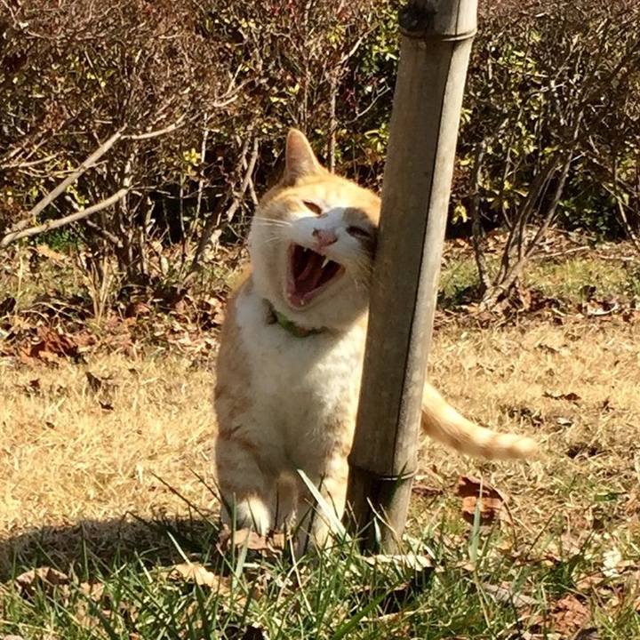 1708f931 473b 4ec7 90bf 2260d314e1e6 1520079506726