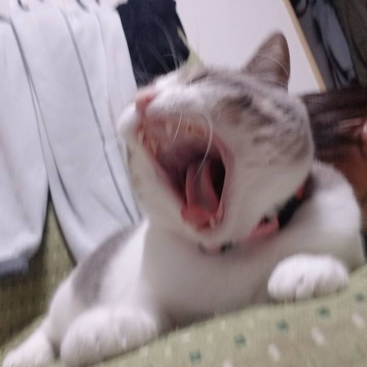 1708fa08 73a7 4c5c 965b 05e5f805aeb9 1583246199229