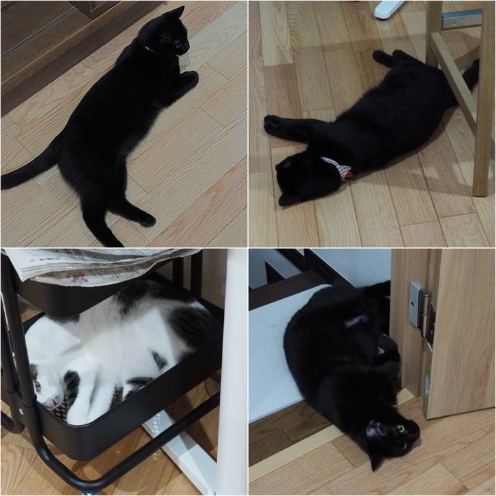 1709002d e93a 48c3 813b 883dd803182a 1532239955305