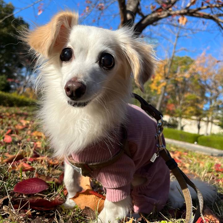 17094847 22dc 4c9f b258 e07fadcd5b03 1734170146763