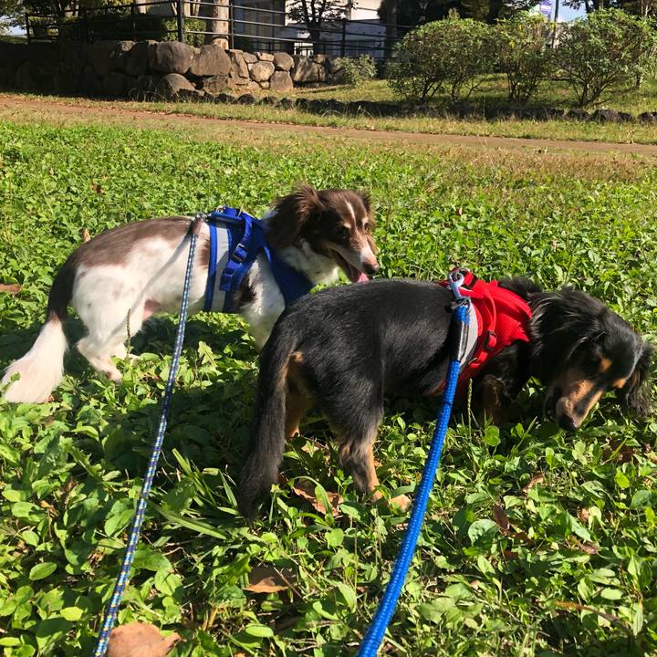 1709697d b53b 40d0 abcf 2a831d62fce8 1572914670868